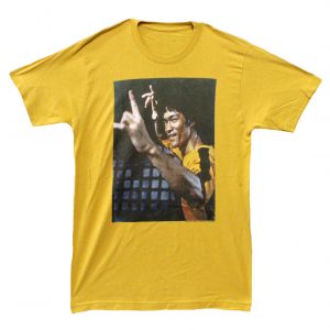 Bruce Lee Fighting Stance - Ginger