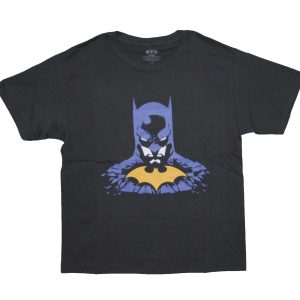 Batman Shattered Youth Tee - GREY